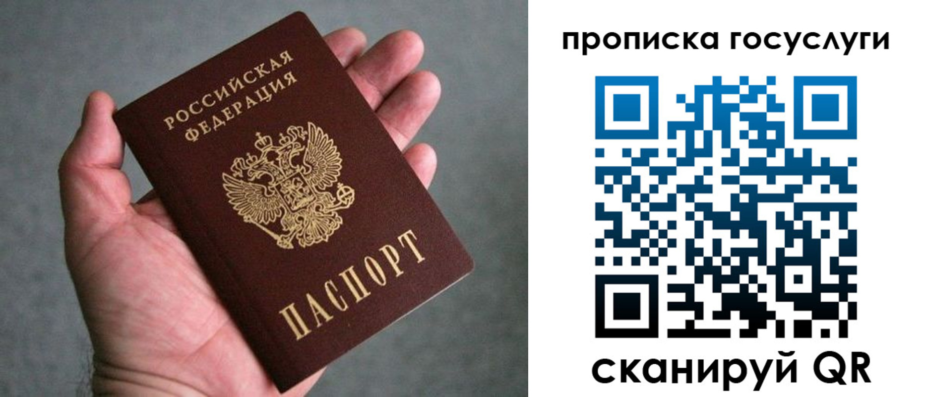прописка 2025 в Петухово